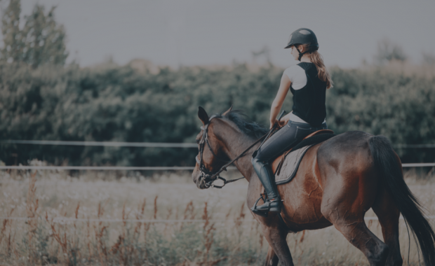 Equestrian Direct Debit Payments